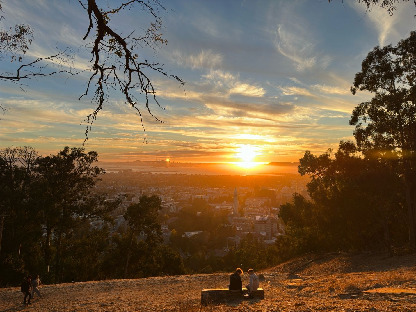 A couple of people sitting on a bench overlooking a cityAI-generated content may be incorrect.